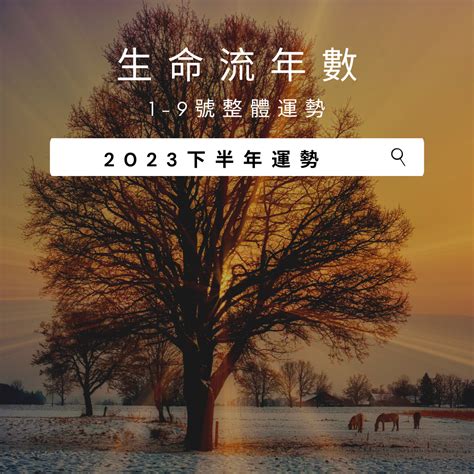 生命数字流年2023|生命靈數「2023流年運勢」解析：流年1